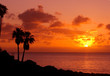 orange sunset on tropical island with palm