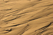 Bacrground from the Beach. Wet sand