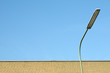 urban light hd