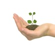 Growth