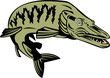 Muskie Fish