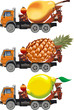 Vector fruit-truck set