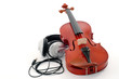 Violin