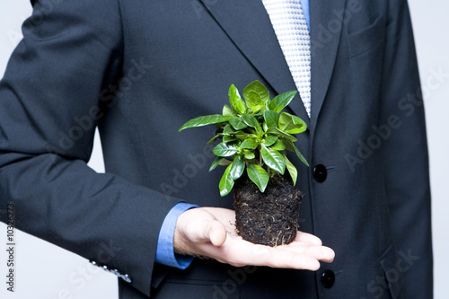 Photo: Plant in a hand close up Plant in a hand close up