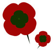 Poppies