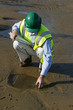 Environmental chemist