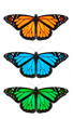 red gree and orange butterfly isolated on white red gree and orange butterfly isolated on white
