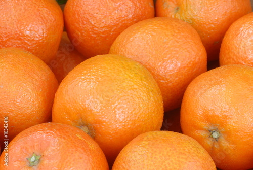 clementine clementine
