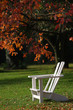 Foto: Chair in a park in an autumn day. Chair in a park in an autumn day.