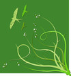 Birds & Nature