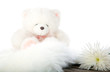Teddy bear and white flower isolated on white Teddy bear and white flower isolated on white