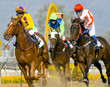 Jockeys on the finish line of a horserace. Jockeys on the finish line of a horserace.