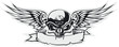 Vector skull with wings at gray basis