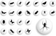 Big set buttons. Insects