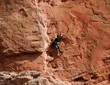 Climbing a Sandstone Ledge Climbing a Sandstone Ledge