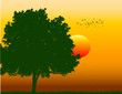 sunset view abstract vector illustration sunset view abstract vector illustration