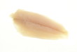 One raw catfish fillet on a white background