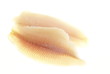 Two raw catfish fillets on white