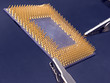 Processor