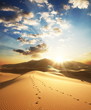 Desert