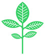 Green Plant
