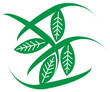 Green Energy