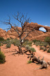 Der Skyline Arch im Arches National Park in Utah Der Skyline Arch im Arches National Park in Utah