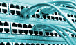 A shot of network cables connected to switches A shot of network cables connected to switches