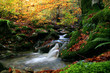 river river