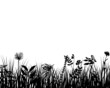 grass