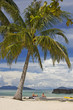 young couple relaxing under palmtree on deserted island young couple relaxing under palmtree on deserted island