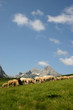 Mountain Komovi