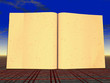 Affiche/Logo110 Affiche/Logo110