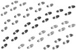 Traces going to something certain on a white background