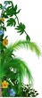 Jungle vegetation 1 - tropical plants as hand drawn background
