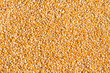 Sweet corn grain kernels detailed background