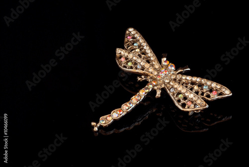 libellula