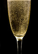 Flute with sparkling champagne against black background.