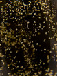 Macro of sparkling champagne against black background.