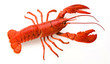Foto: Gambero rosso Gambero rosso