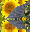solaire, grand panneau solaire, grand panneau