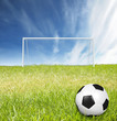 shot  on goal