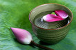 lotus petal on the green background