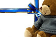 Congratulatory card with a teddy bear