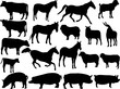 farm animal silhouette collection - vector farm animal silhouette collection - vector