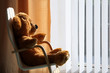 Childrens toy teddy bear relaxing in the sun