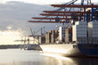 Germany, Hamburg, container ship in Waltershofer Hafen at Burchardkai