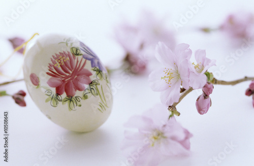 Photo: Floral painting on egg, Easter tradition, close-up Floral painting on egg, Easter tradition, close-up