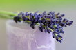 Lavender flowers on candle, close-up