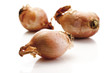 Shallots, close-up